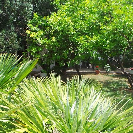 Pension Vice Gradac  Zewnętrze zdjęcie