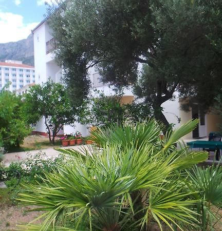 Pension Vice Gradac  Zewnętrze zdjęcie