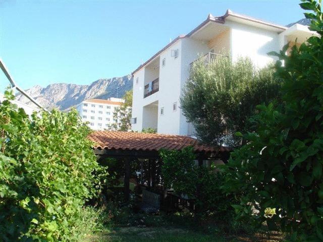 Pension Vice Gradac  Zewnętrze zdjęcie