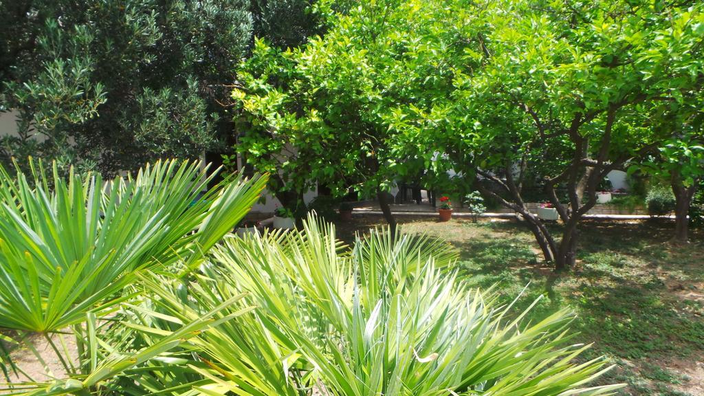 Pension Vice Gradac  Zewnętrze zdjęcie